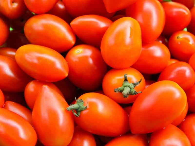 Grocery Ecommerce Template