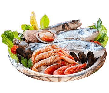 Fish & Seafood