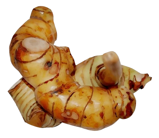 Galangal