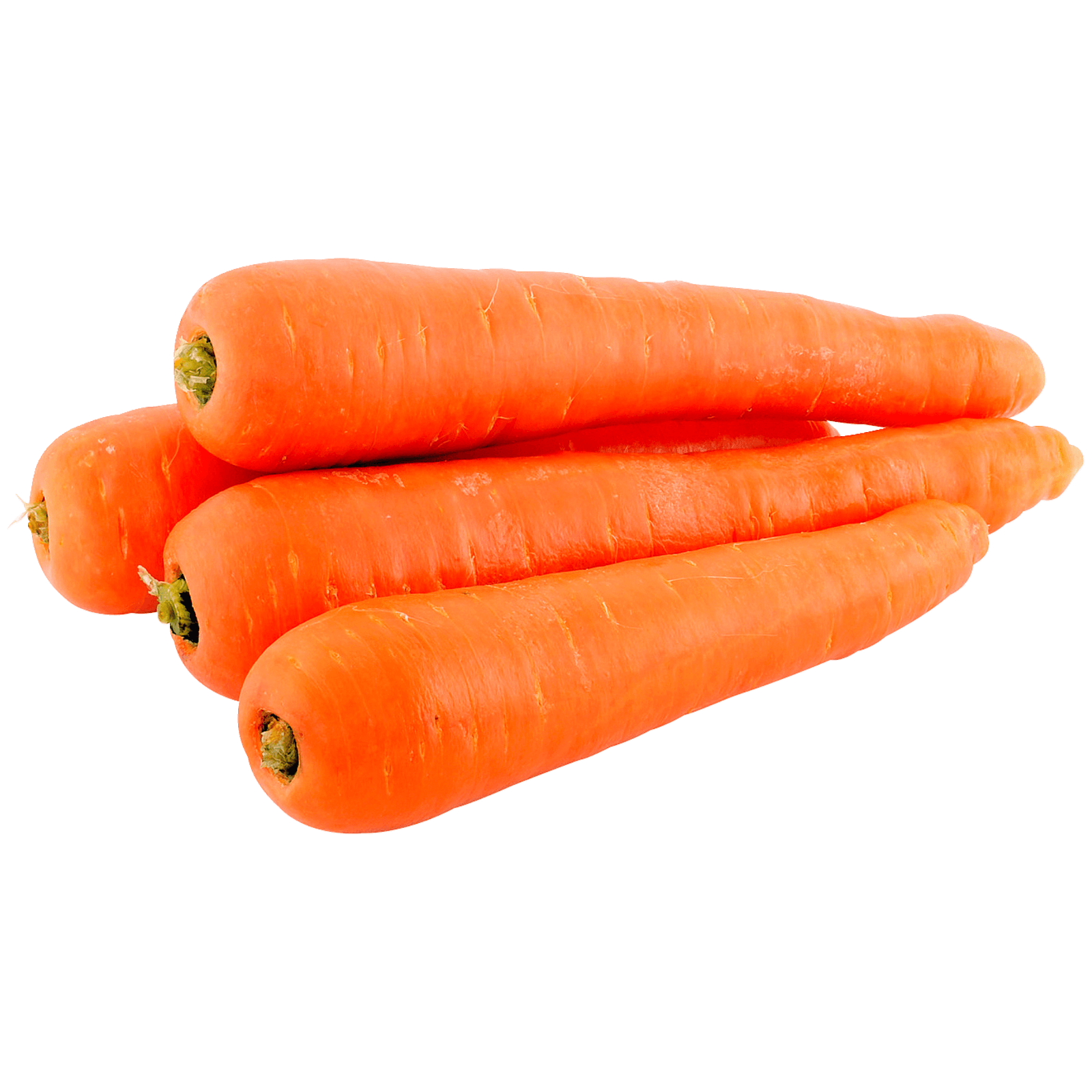 Carrot
