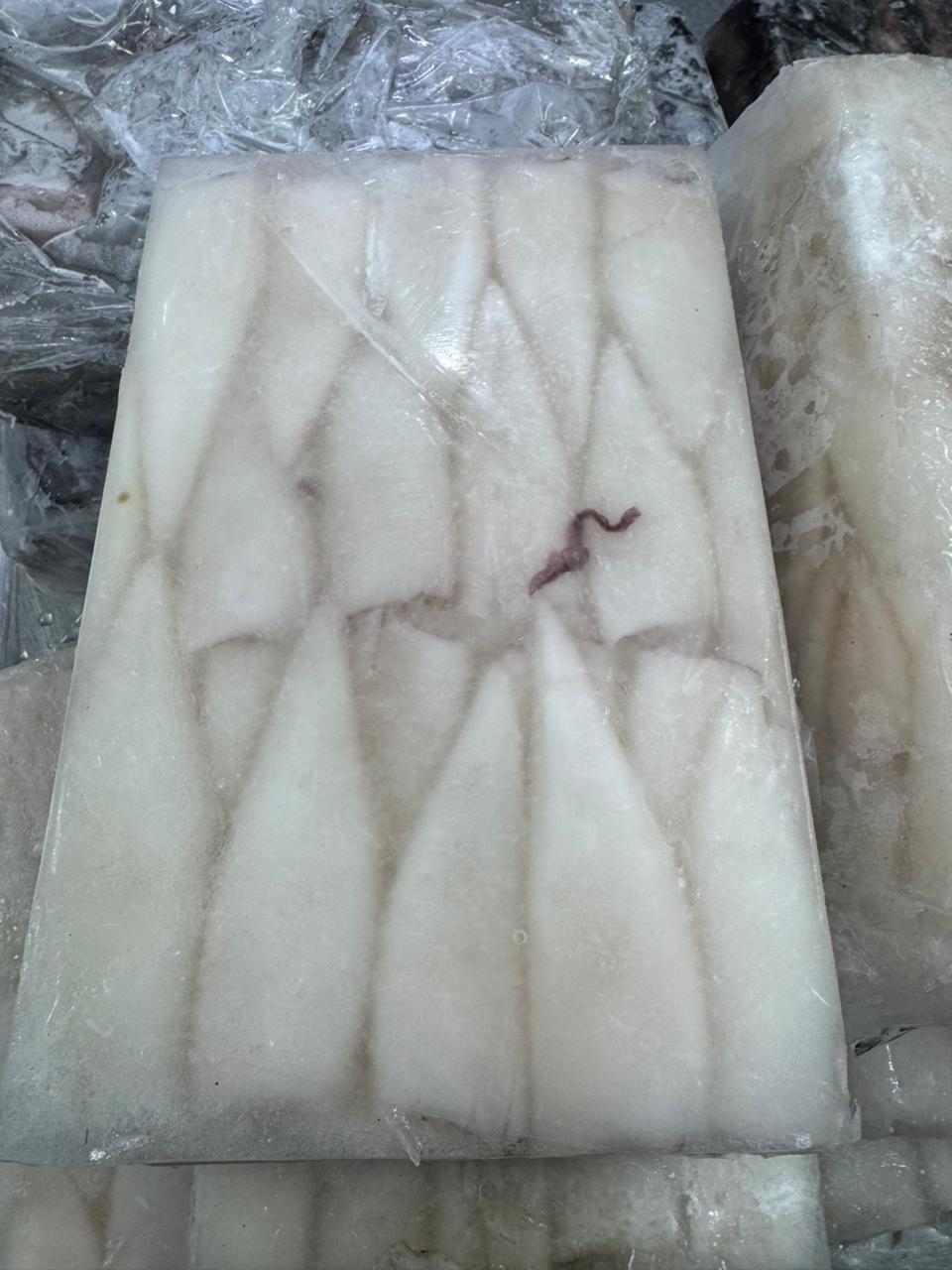 Calamari Tube (20-25)