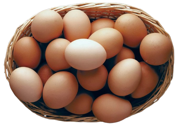 Brown Eggs