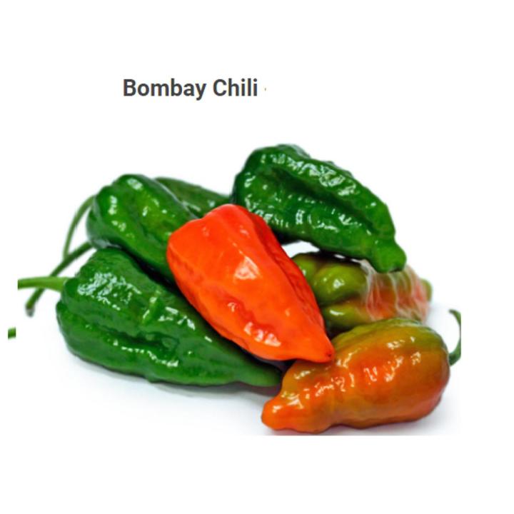 bombay chilli